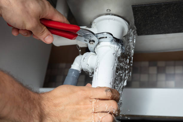 Best Professional water damage repair  in Fort Walton Beach, FL