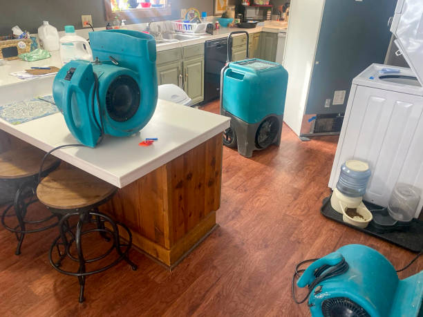 Best Flooded house restoration  in Fort Walton Beach, FL