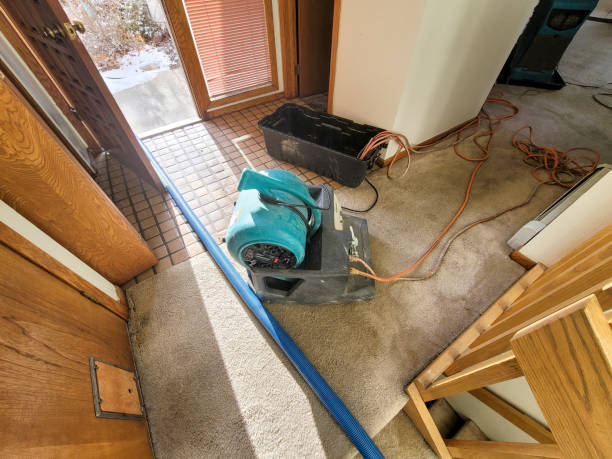 Best Commercial water damage restoration  in Fort Walton Beach, FL