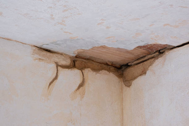 Best Water damage cleanup near me  in Fort Walton Beach, FL
