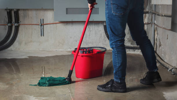 Best 24/7 water damage repair  in Fort Walton Beach, FL