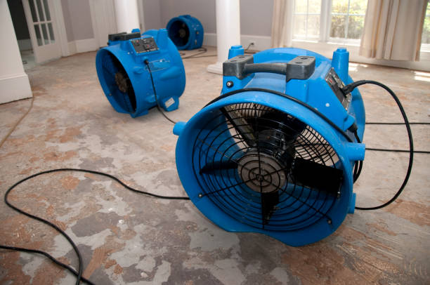 Best Carpet water damage restoration  in Fort Walton Beach, FL