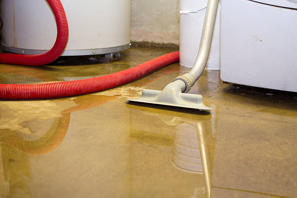 Best Local water damage restoration  in Fort Walton Beach, FL