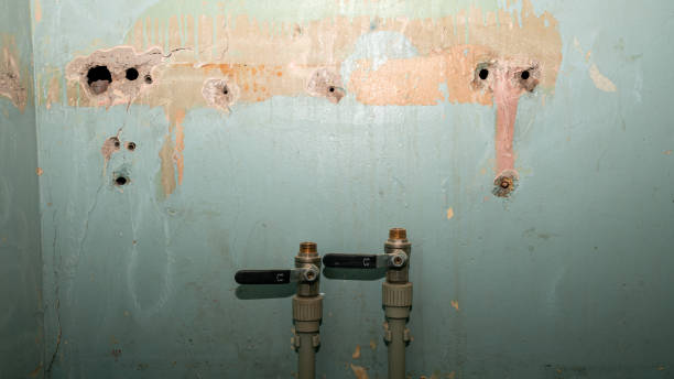 Best Basement water damage restoration  in Fort Walton Beach, FL