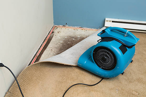 Best Water damage restoration near me  in Fort Walton Beach, FL